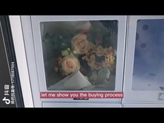 मांस पनीर आइसक्रीम लॉकर आकार के लिए 22 इंच फ्रोजन वेंडिंग मशीन अनुकूलित