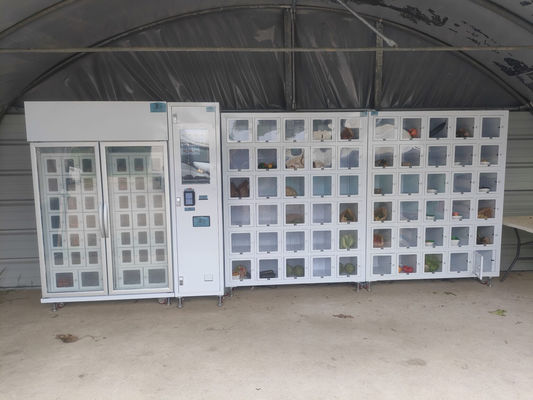 कृषि उत्पादों के लिए कस्टम ग्राफिक्स वेंडिंग मशीनें आपकी उंगलियों पर अंडे