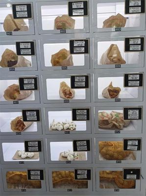 40 लॉकर क्षमता वाला लॉकर वेंडिंग मशीन, स्वच्छ डिज़ाइन और Android 11 ऑपरेटिंग सिस्टम के साथ