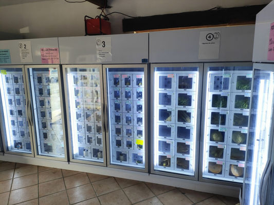 छोटे पैमाने के खेत उत्पादकों के लिए Android 11 एग डिस्पेंसर मशीन, 24/7 सुविधा और दक्षता